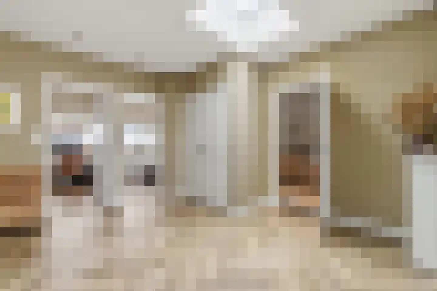 van Naeltwijckstraat 237 Voorburg thumbnail 34