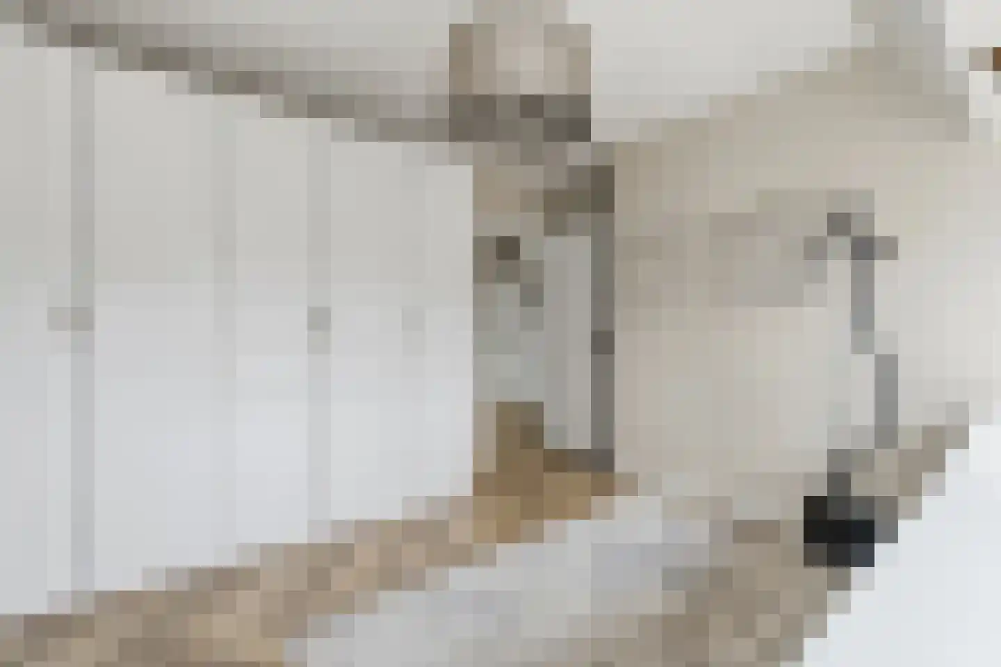 van Naeltwijckstraat 237 Voorburg thumbnail 36
