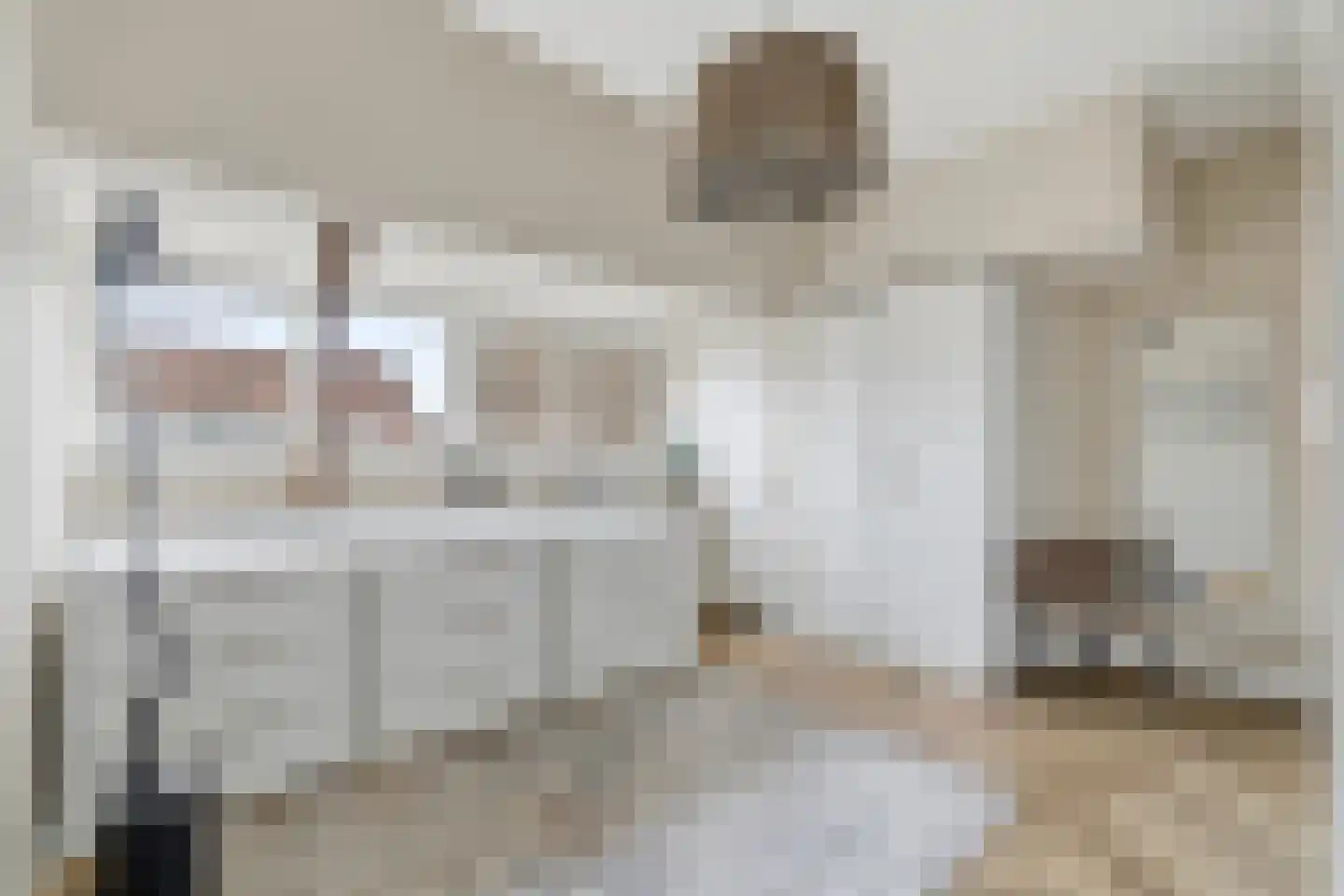 van Naeltwijckstraat 237 Voorburg thumbnail 38