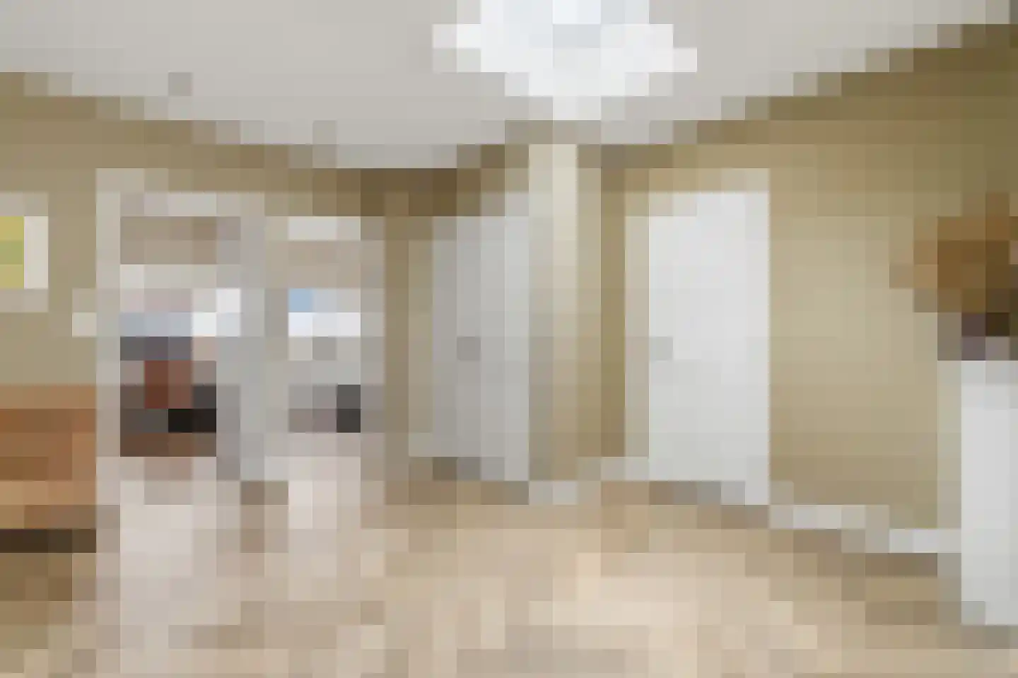van Naeltwijckstraat 237 Voorburg thumbnail 39