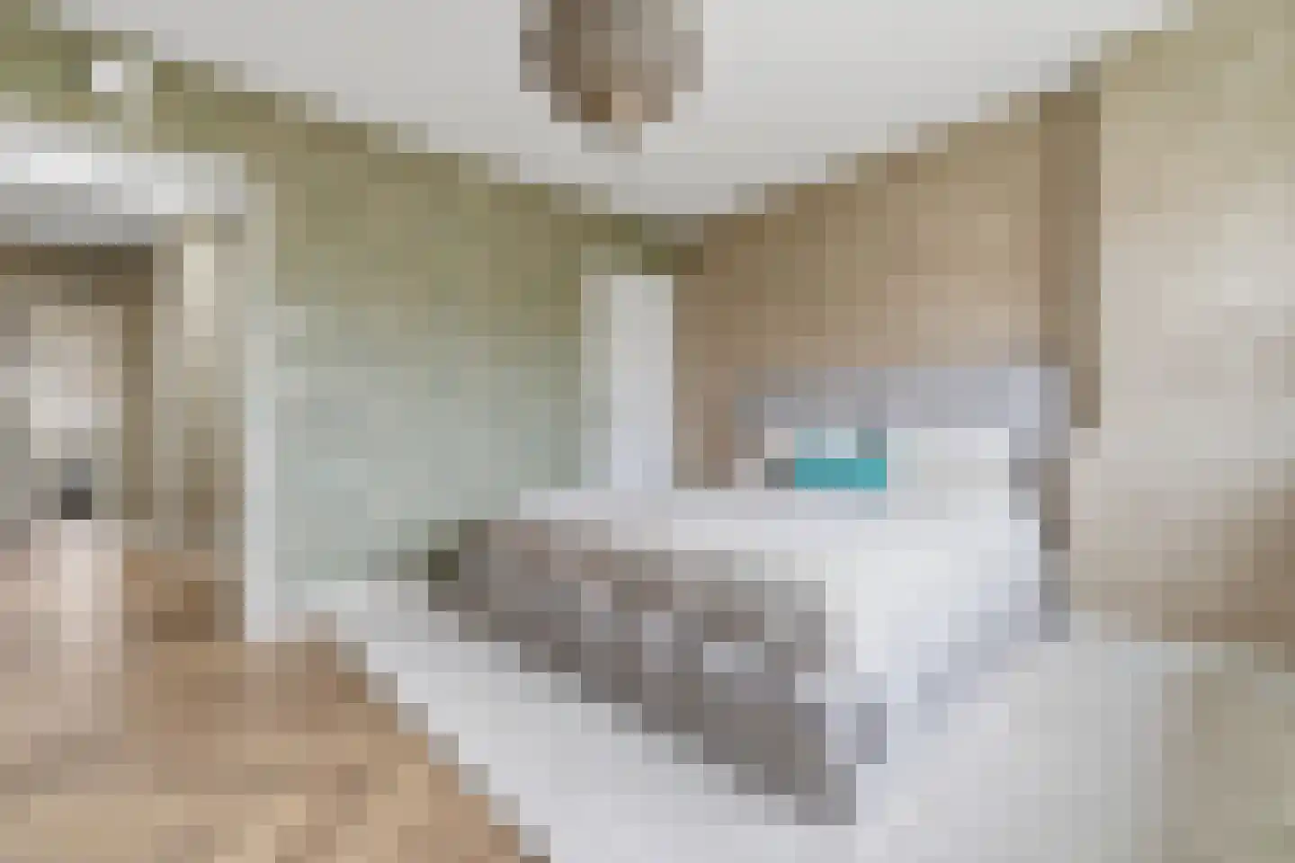 van Naeltwijckstraat 237 Voorburg thumbnail 40