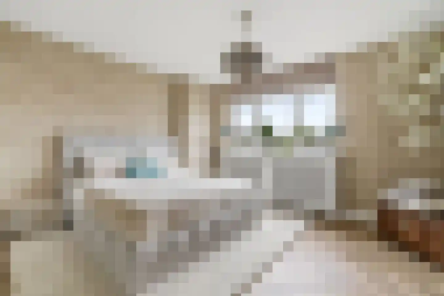 van Naeltwijckstraat 237 Voorburg thumbnail 41
