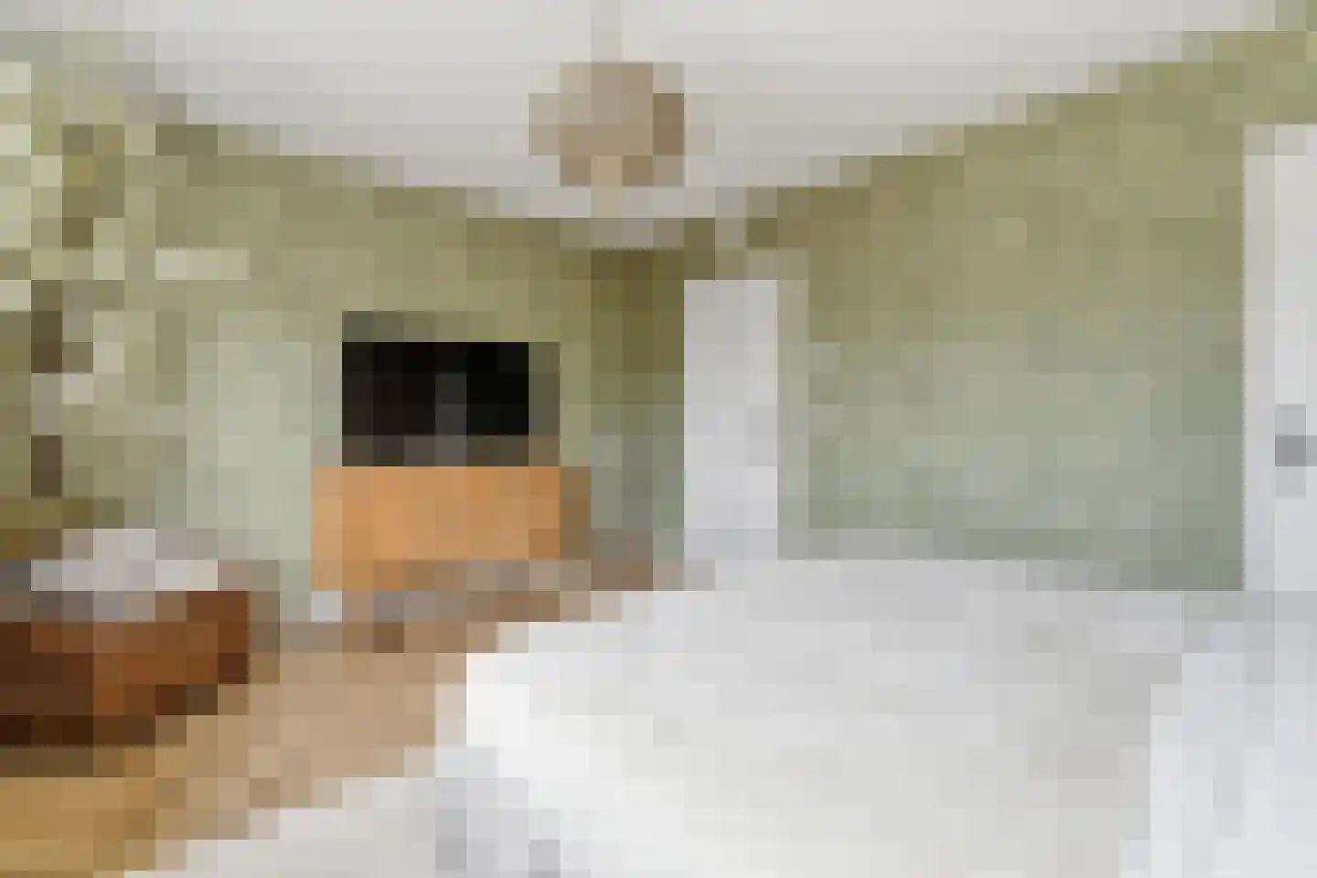van Naeltwijckstraat 237 Voorburg thumbnail 43