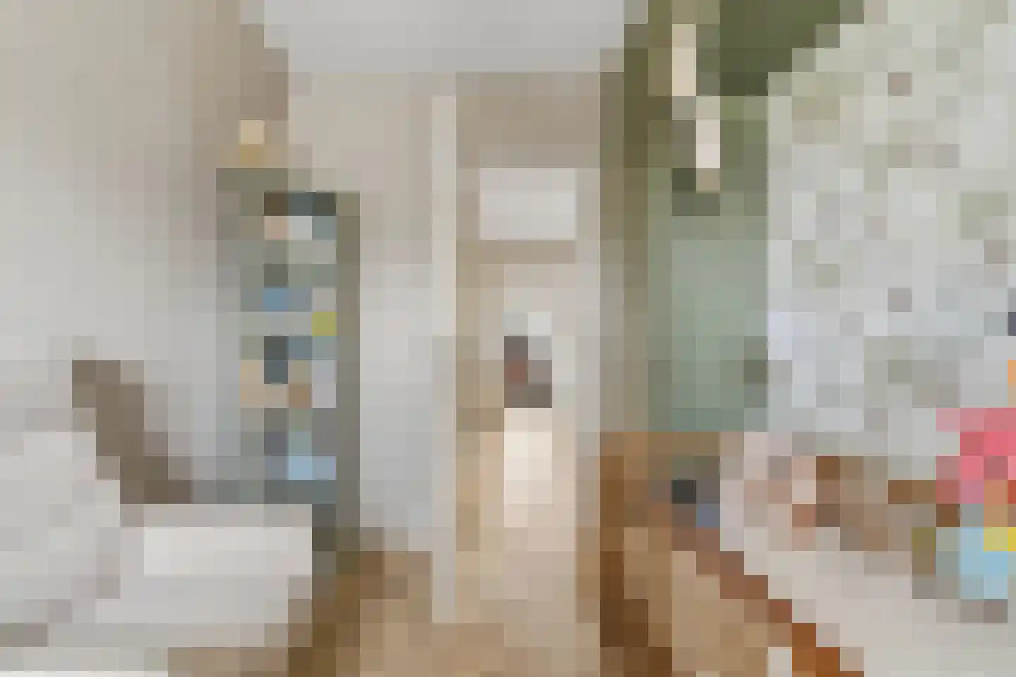 van Naeltwijckstraat 237 Voorburg thumbnail 44