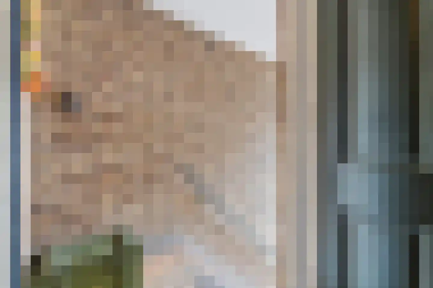 van Naeltwijckstraat 237 Voorburg thumbnail 5