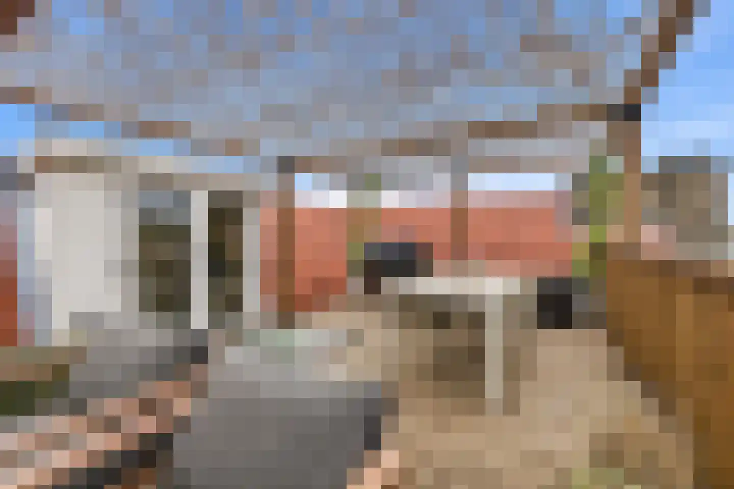 van Naeltwijckstraat 237 Voorburg thumbnail 52