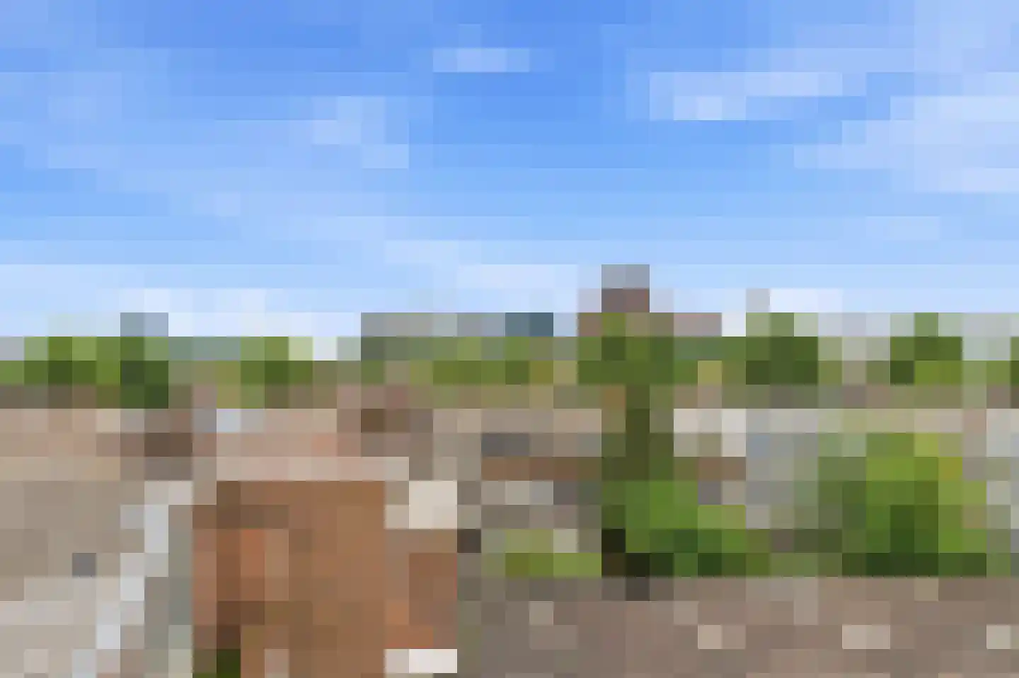 van Naeltwijckstraat 237 Voorburg thumbnail 58