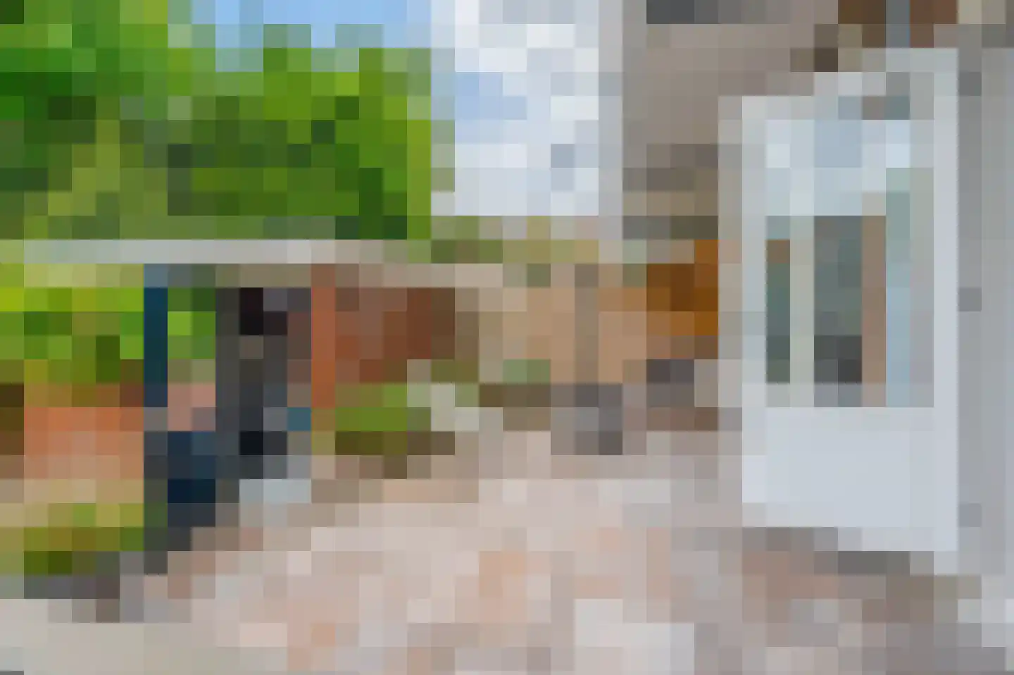 van Naeltwijckstraat 26 Voorburg thumbnail 11