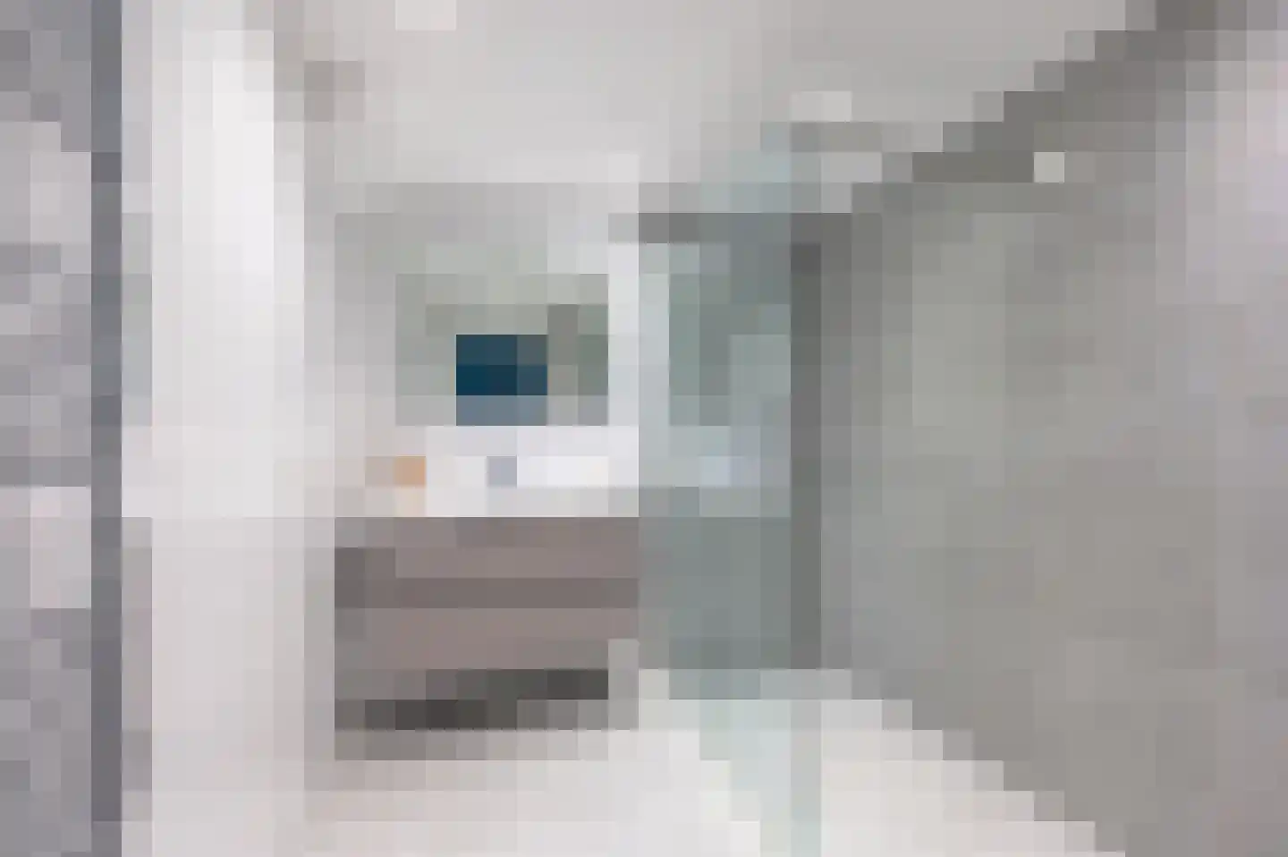 van Naeltwijckstraat 26 Voorburg thumbnail 21