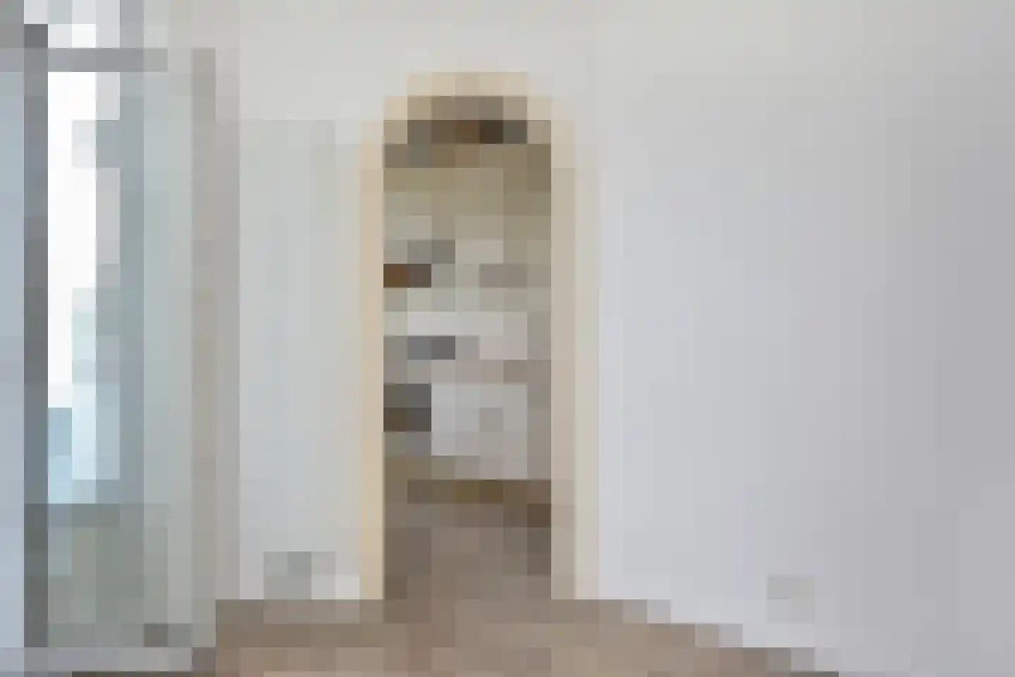 van Naeltwijckstraat 27 Voorburg thumbnail 20