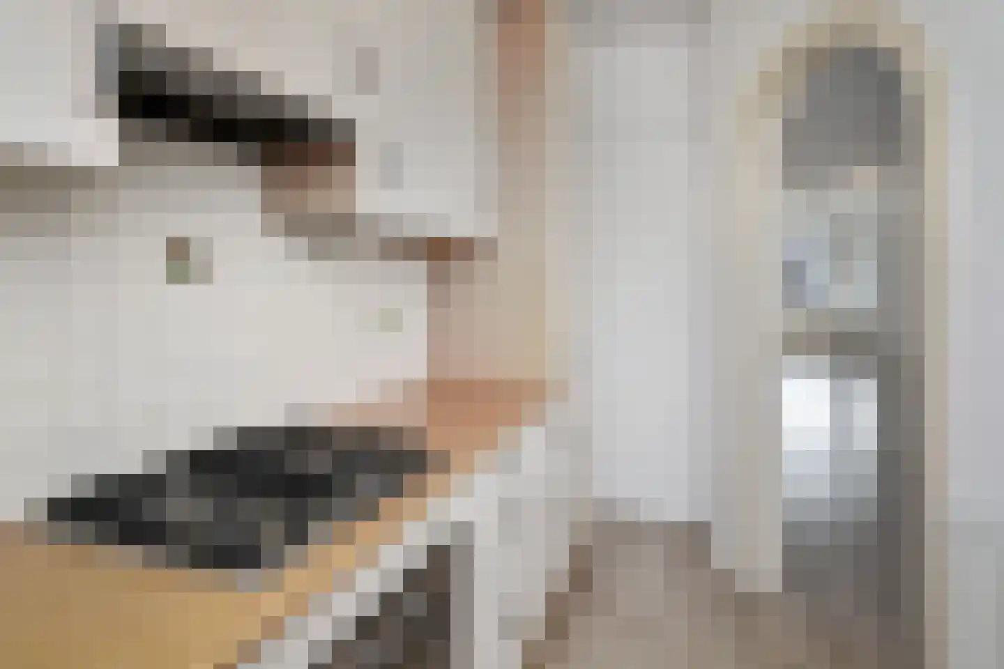 van Naeltwijckstraat 27 Voorburg thumbnail 23
