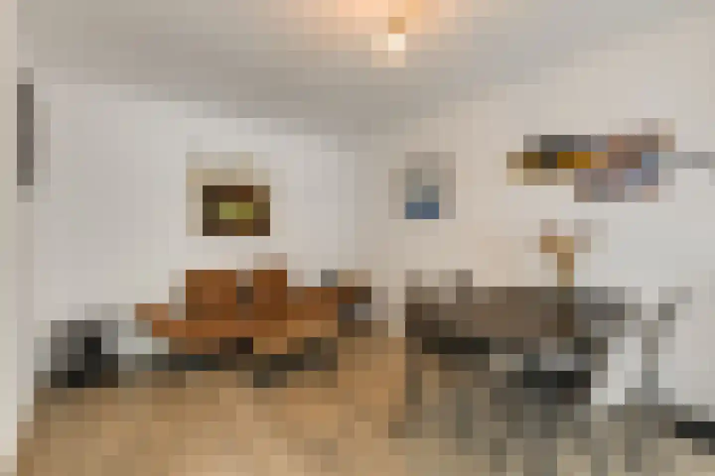 van Naeltwijckstraat 35 Voorburg thumbnail 12