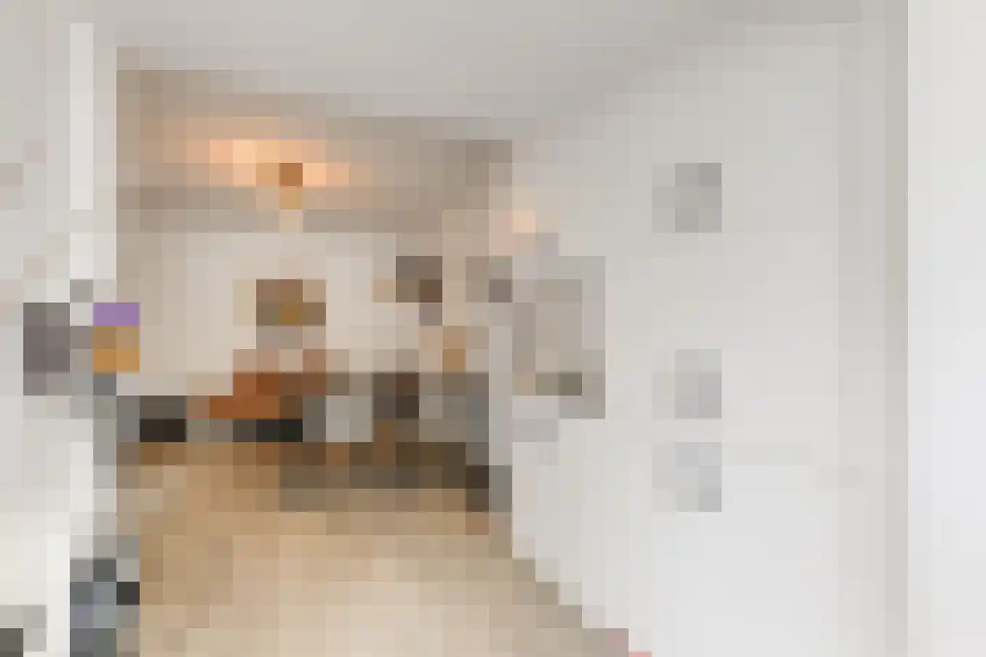 van Naeltwijckstraat 35 Voorburg thumbnail 16