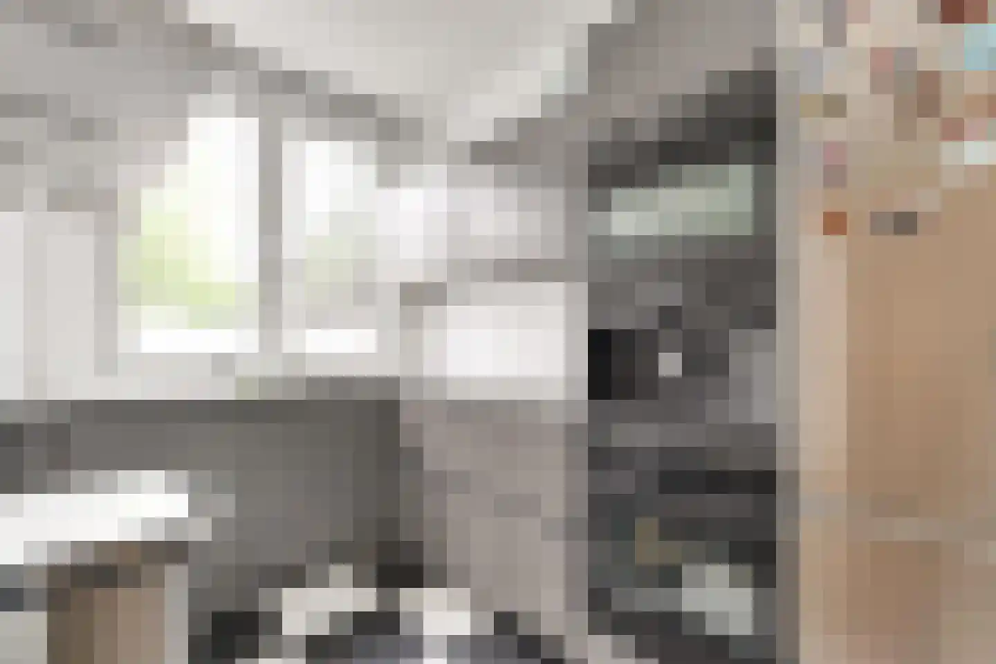 van Naeltwijckstraat 35 Voorburg thumbnail 17