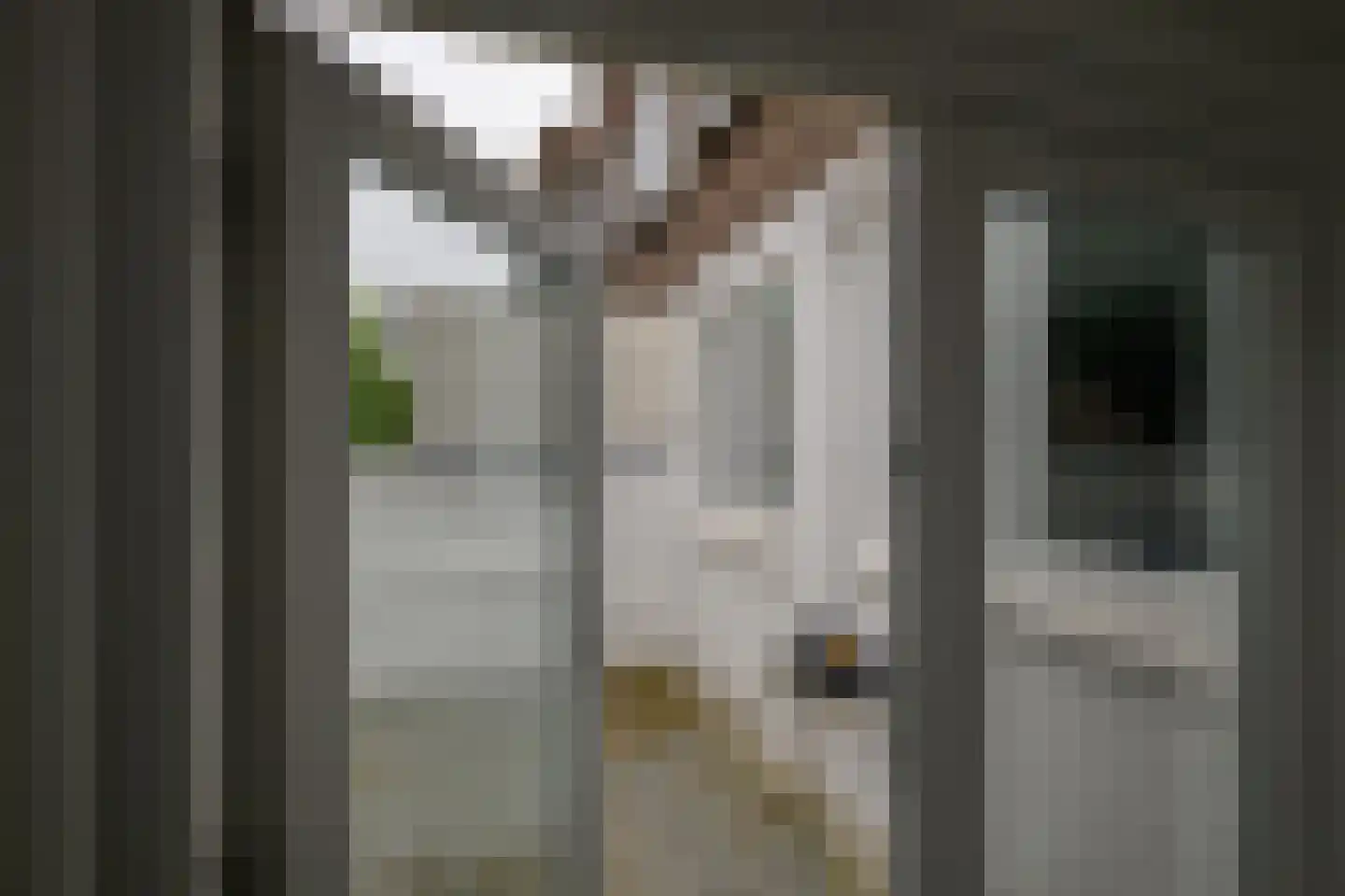 van Naeltwijckstraat 35 Voorburg thumbnail 19