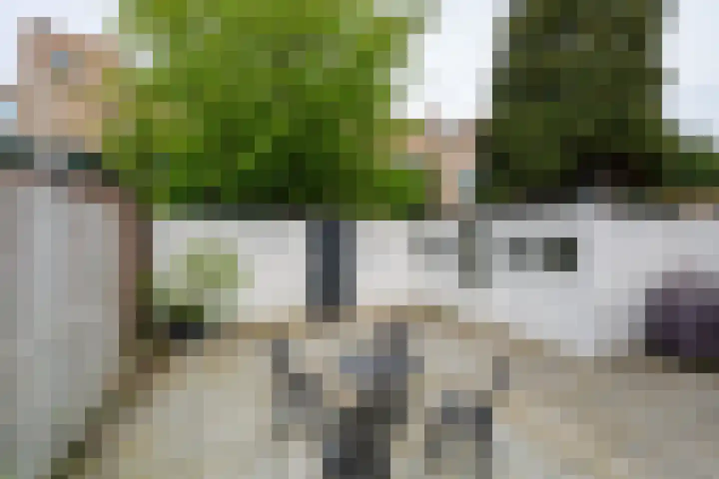 van Naeltwijckstraat 35 Voorburg thumbnail 21