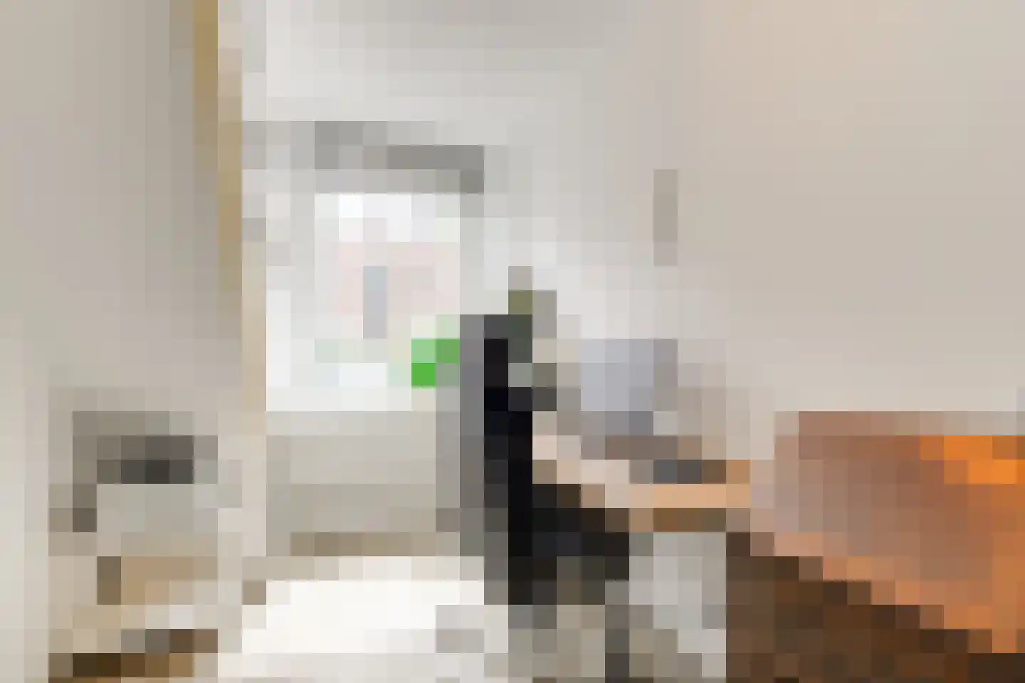 van Naeltwijckstraat 35 Voorburg thumbnail 25