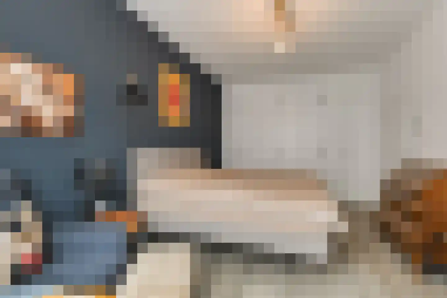 van Naeltwijckstraat 35 Voorburg thumbnail 33