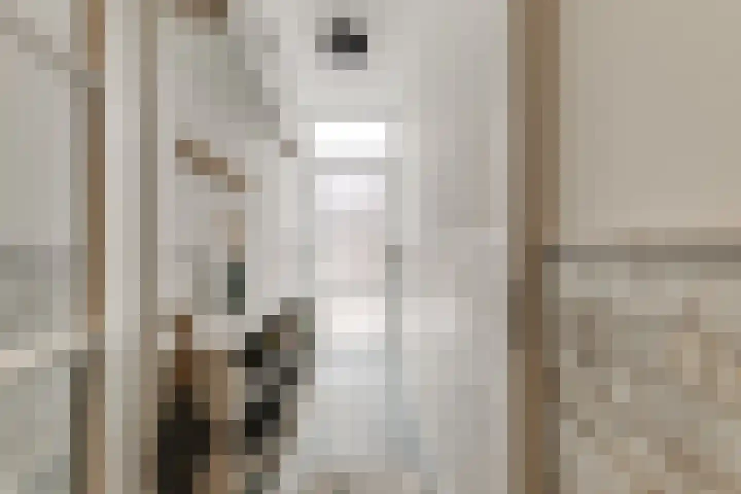 van Naeltwijckstraat 35 Voorburg thumbnail 8