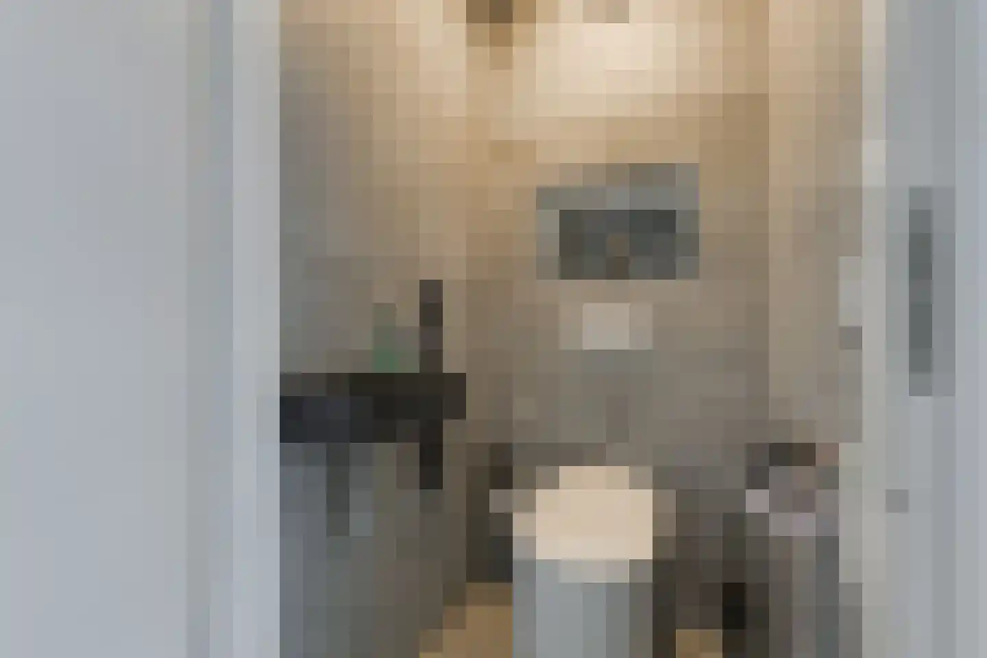 van Naeltwijckstraat 35 Voorburg thumbnail 9