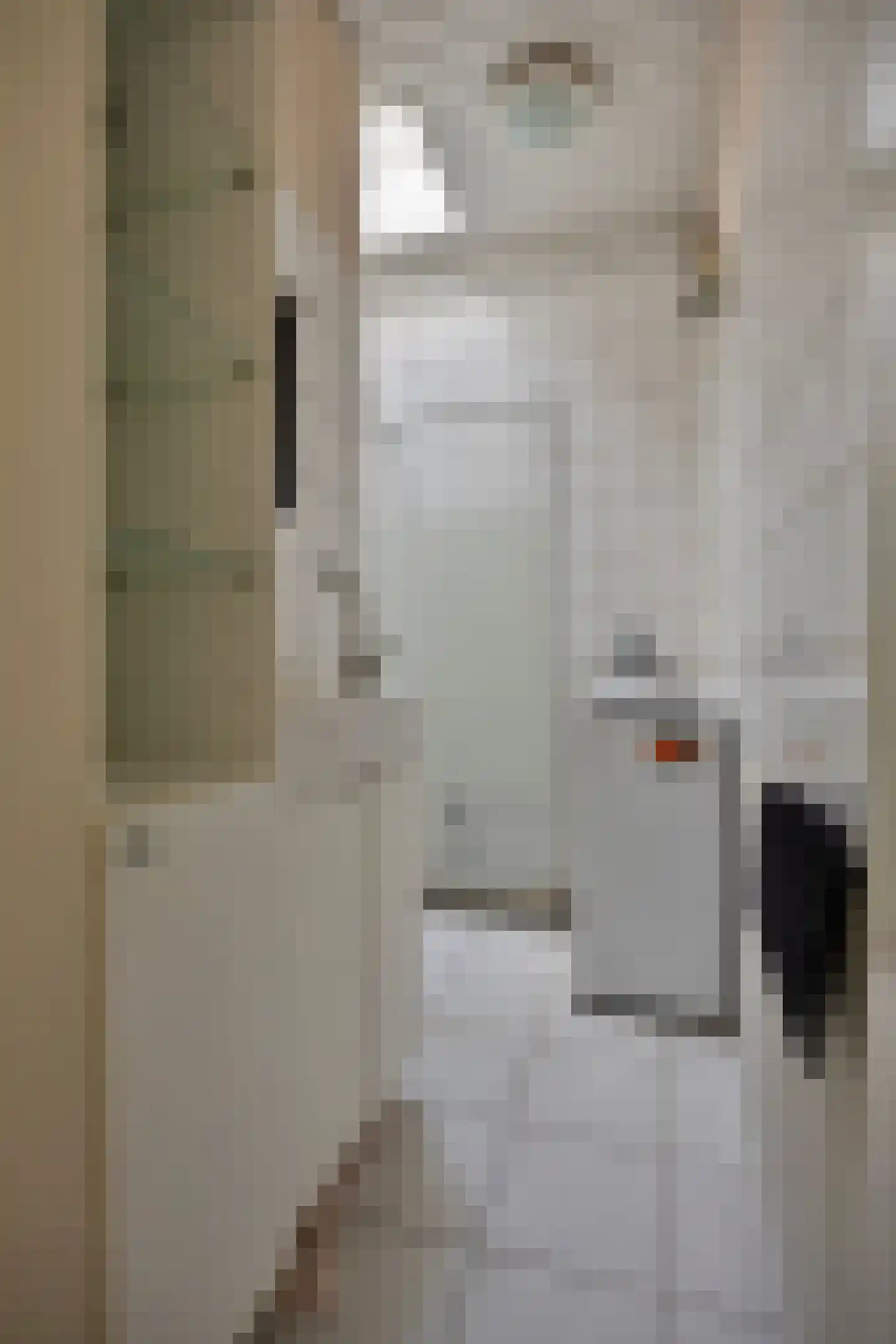 van Naeltwijckstraat 41 Voorburg thumbnail 19
