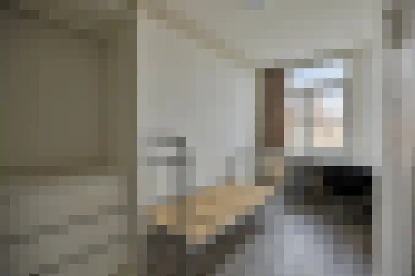 van Naeltwijckstraat 41 Voorburg thumbnail 26