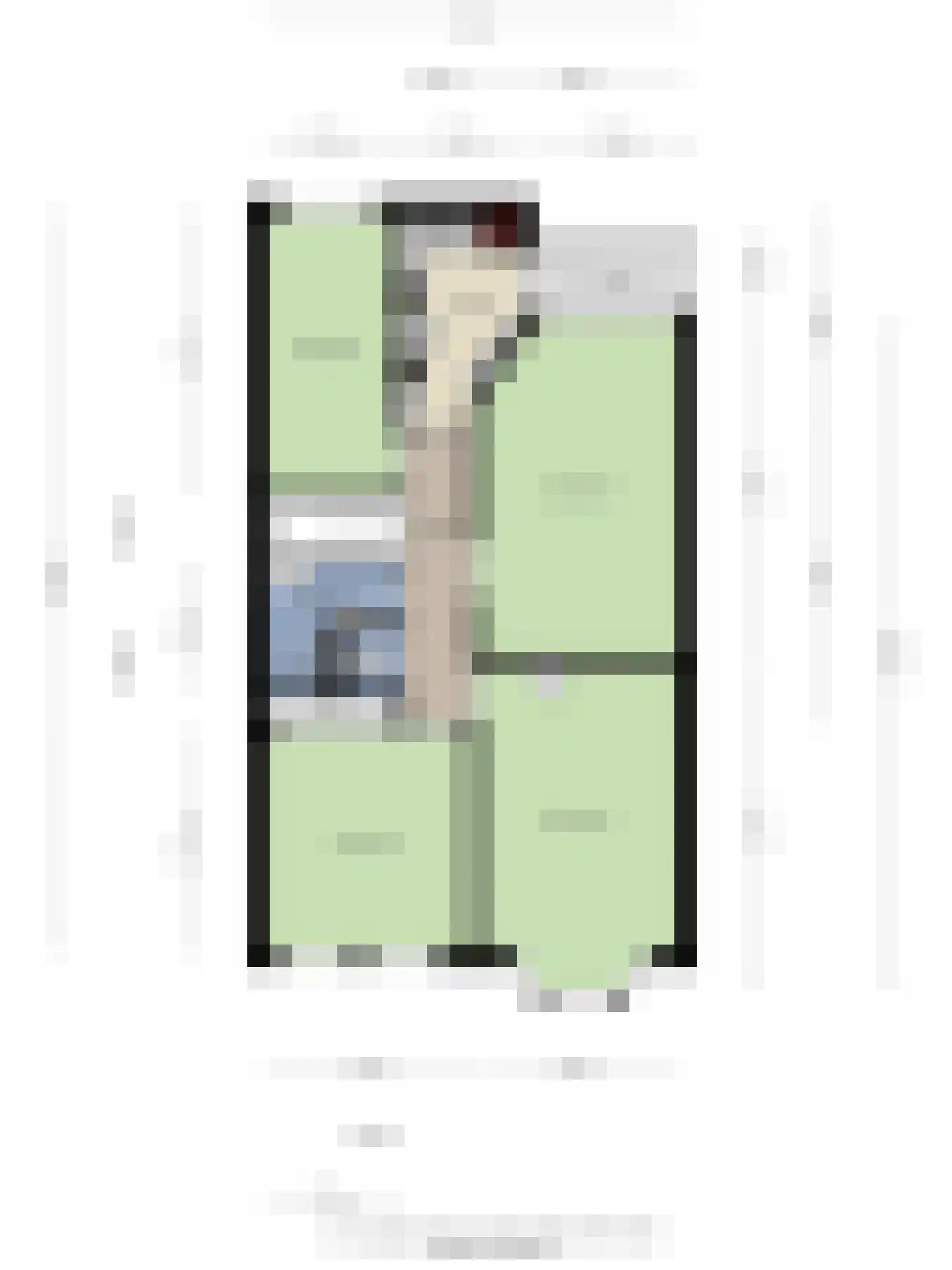 van Naeltwijckstraat 41 Voorburg thumbnail 31