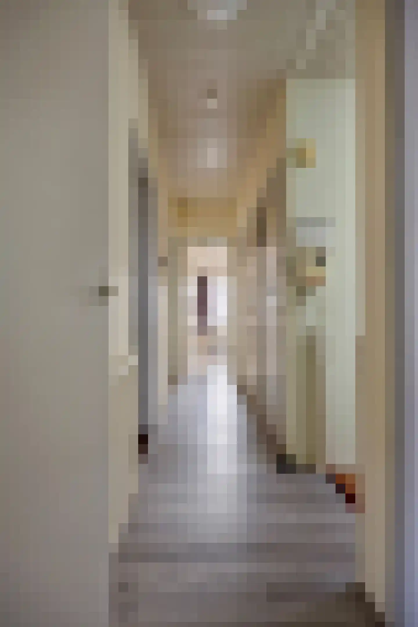 van Naeltwijckstraat 41 Voorburg thumbnail 9