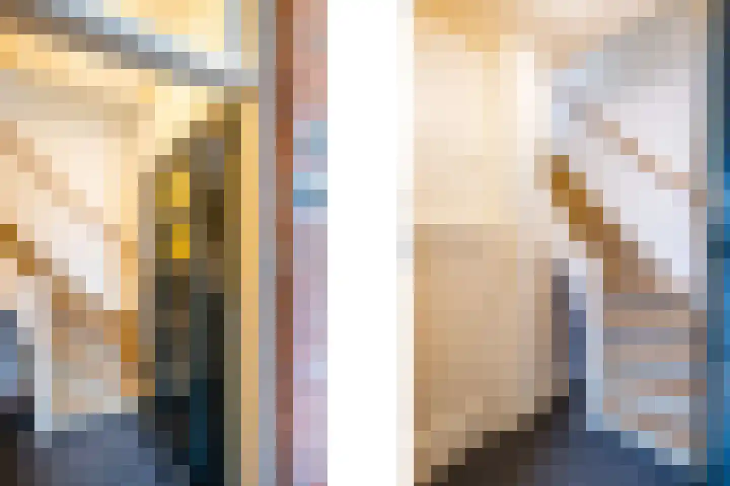van Naeltwijckstraat 44 Voorburg thumbnail 8