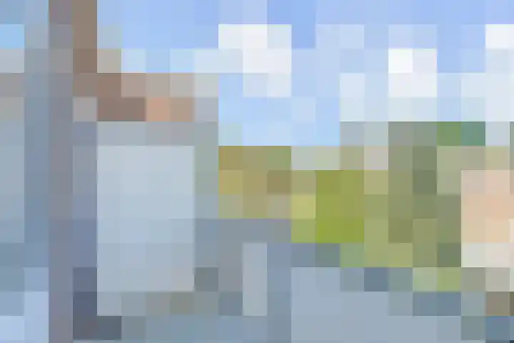 van Naeltwijckstraat 51 Voorburg thumbnail 21