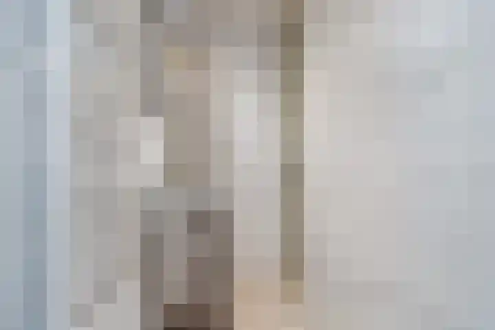 van Naeltwijckstraat 51 Voorburg thumbnail 29