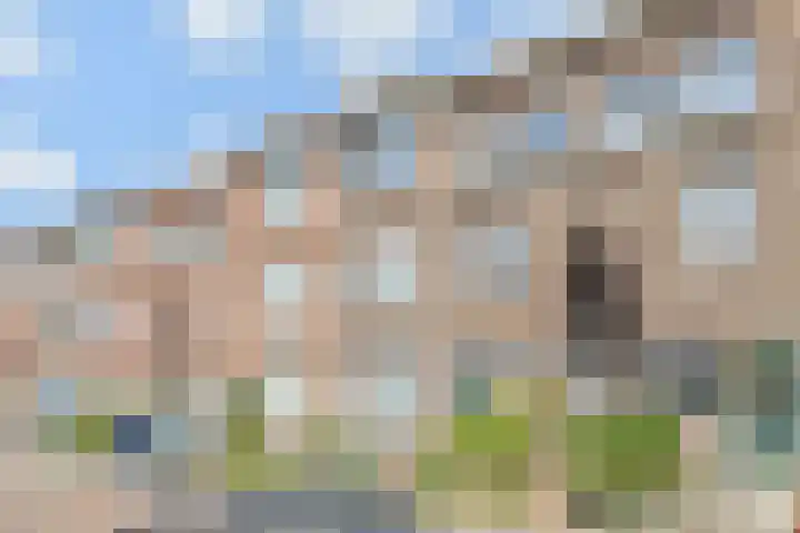 van Naeltwijckstraat 51 Voorburg thumbnail 36