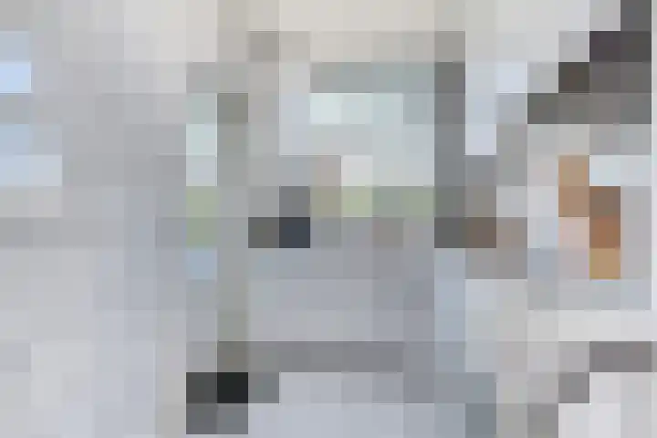 van Naeltwijckstraat 51 Voorburg thumbnail 4