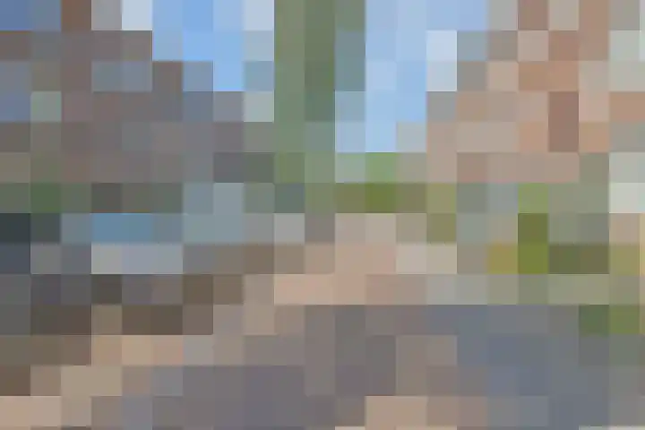 van Naeltwijckstraat 51 Voorburg thumbnail 6
