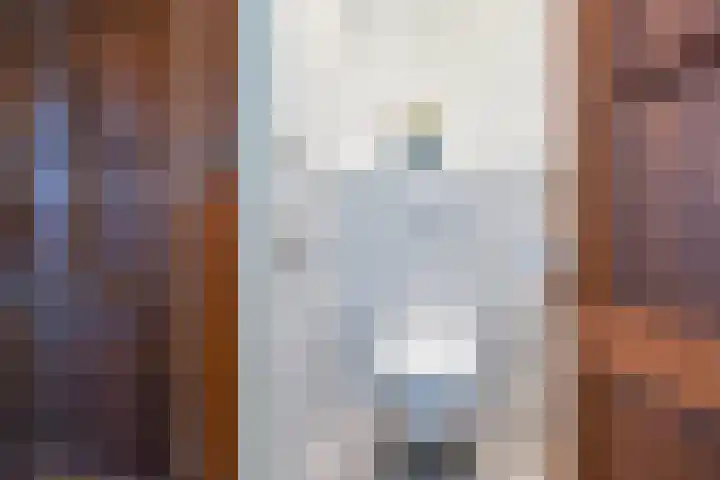 van Naeltwijckstraat 51 Voorburg thumbnail 8