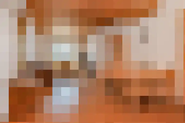 van Naeltwijckstraat 51 Voorburg thumbnail 9
