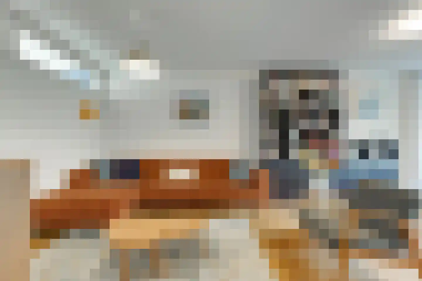 van Naeltwijckstraat 59 Voorburg thumbnail 11