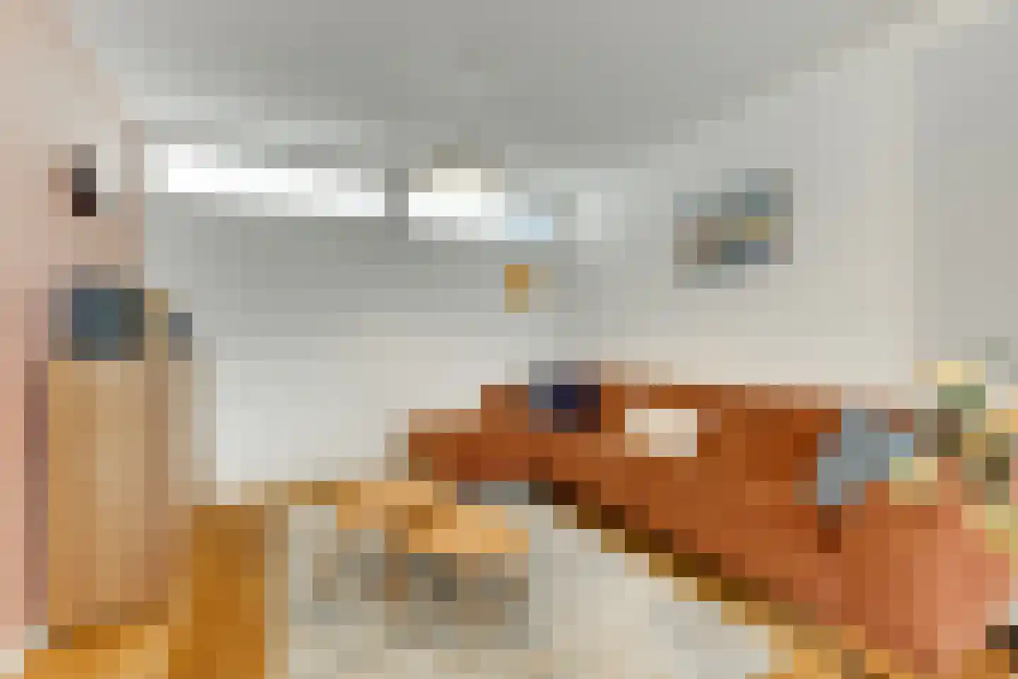 van Naeltwijckstraat 59 Voorburg thumbnail 13