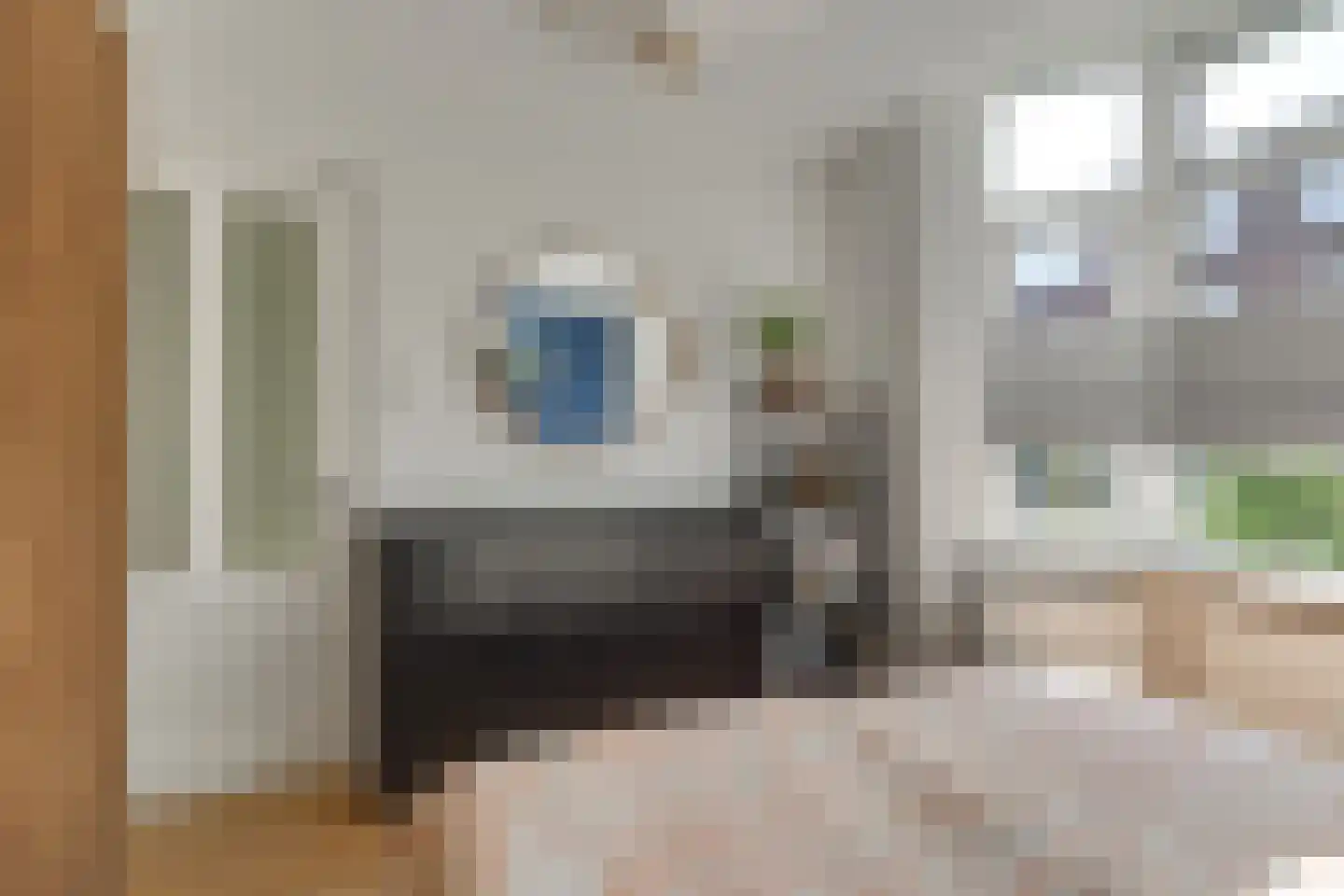 van Naeltwijckstraat 59 Voorburg thumbnail 27