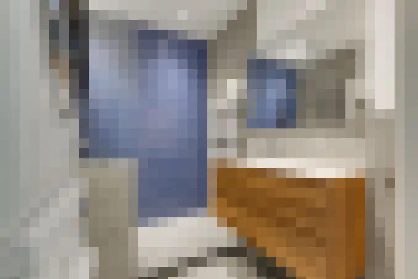 van Naeltwijckstraat 59 Voorburg thumbnail 28