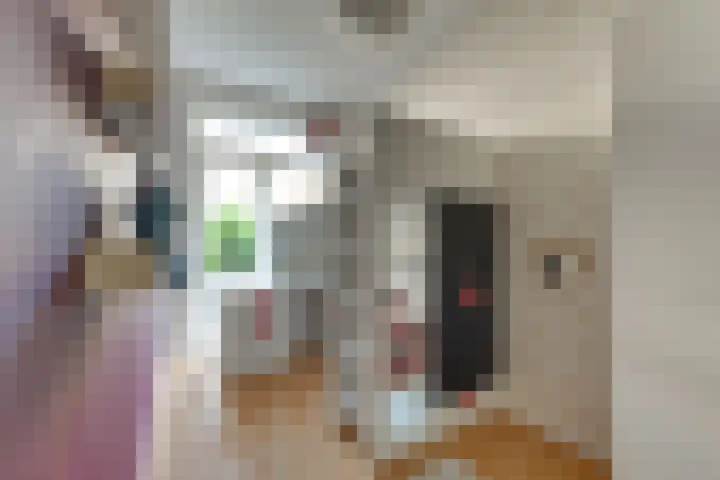 van Naeltwijckstraat 59 Voorburg thumbnail 32