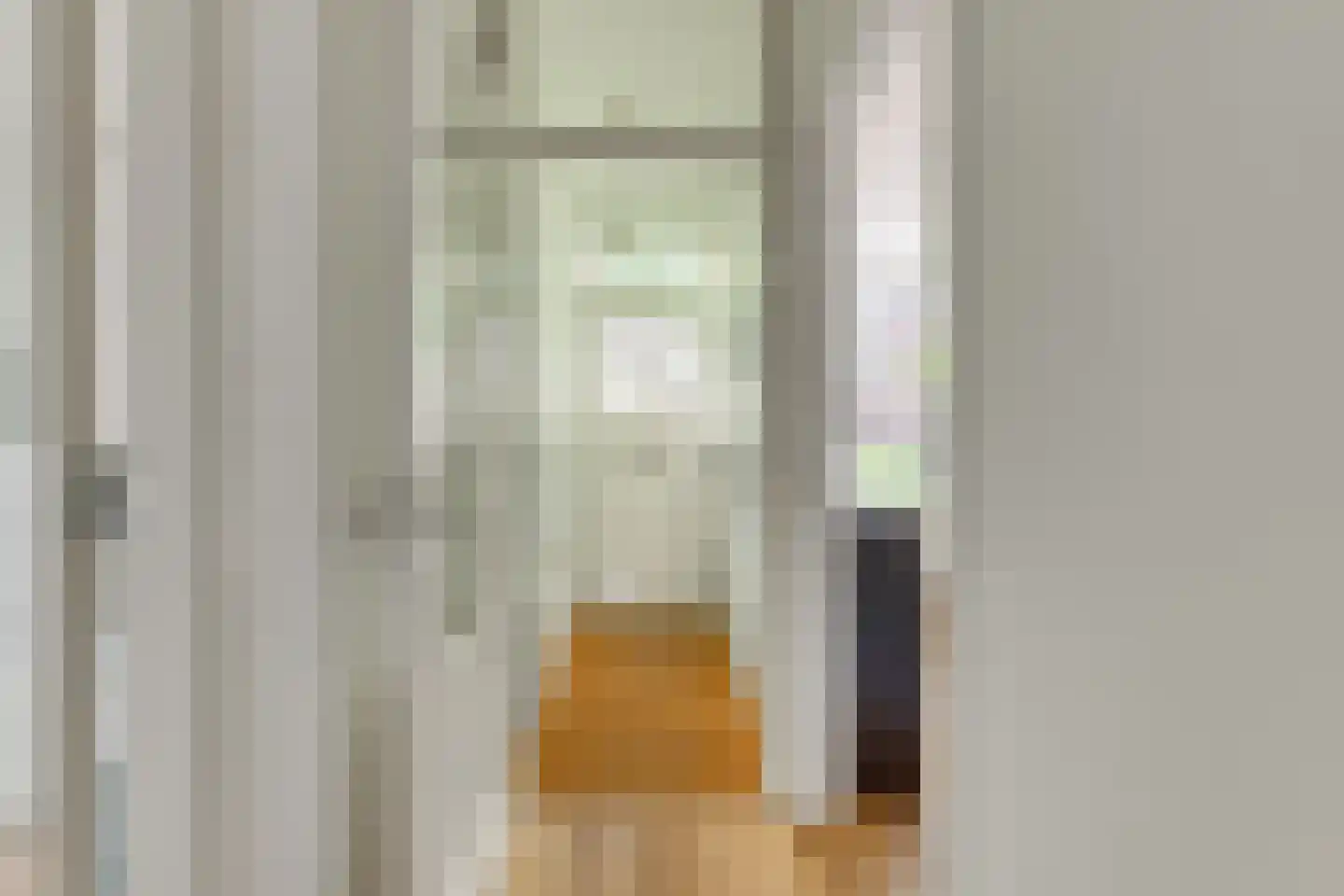 van Naeltwijckstraat 59 Voorburg thumbnail 7