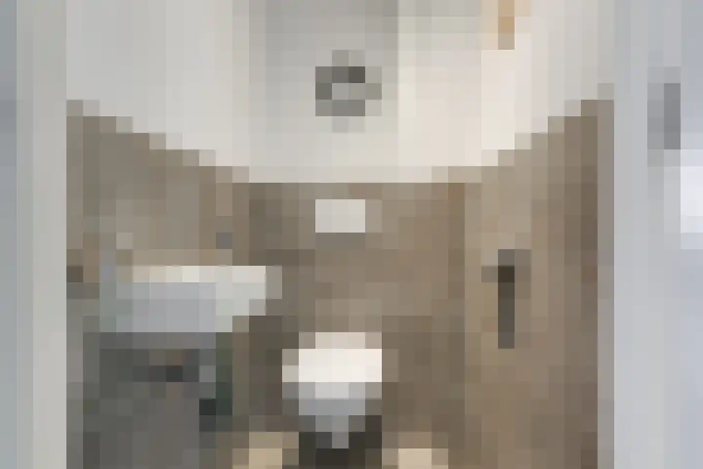 van Naeltwijckstraat 59 Voorburg thumbnail 8