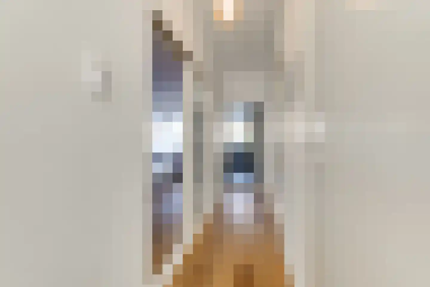 van Naeltwijckstraat 59 Voorburg thumbnail 9