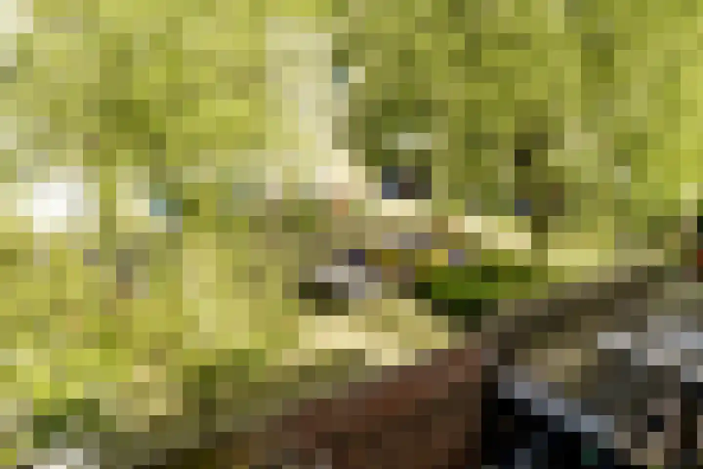 van Naeltwijckstraat 7 Voorburg thumbnail 13
