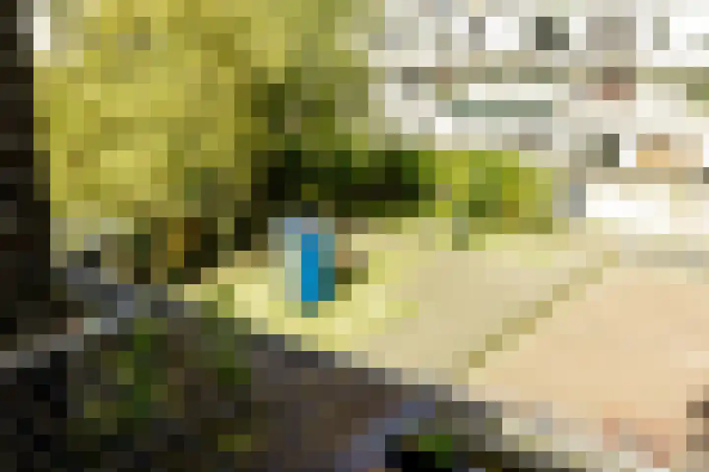 van Naeltwijckstraat 7 Voorburg thumbnail 14