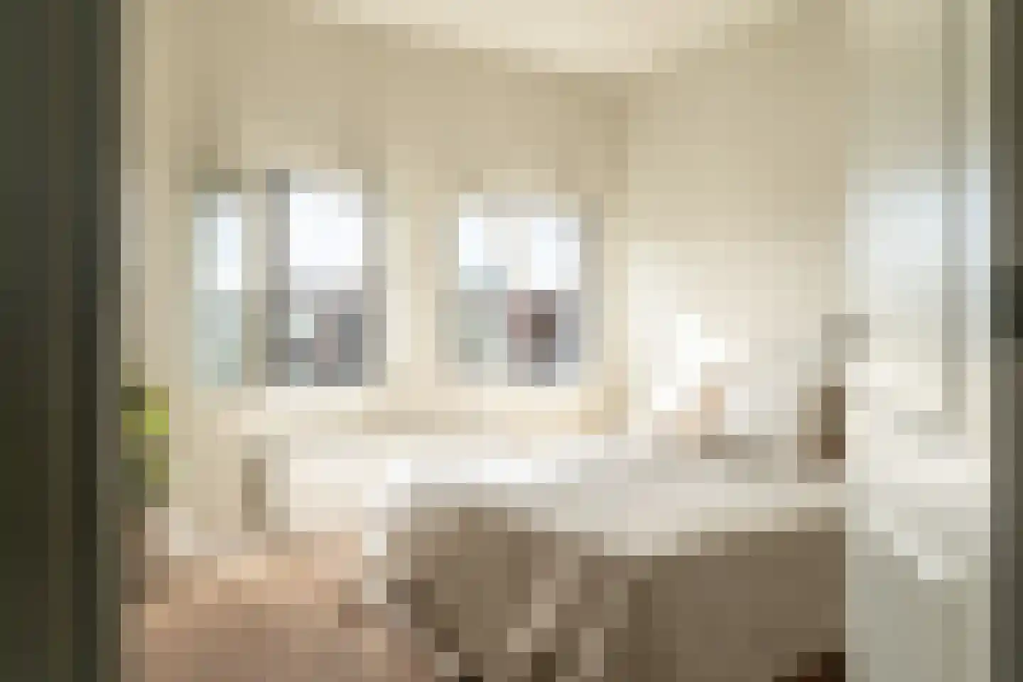 van Naeltwijckstraat 7 Voorburg thumbnail 16