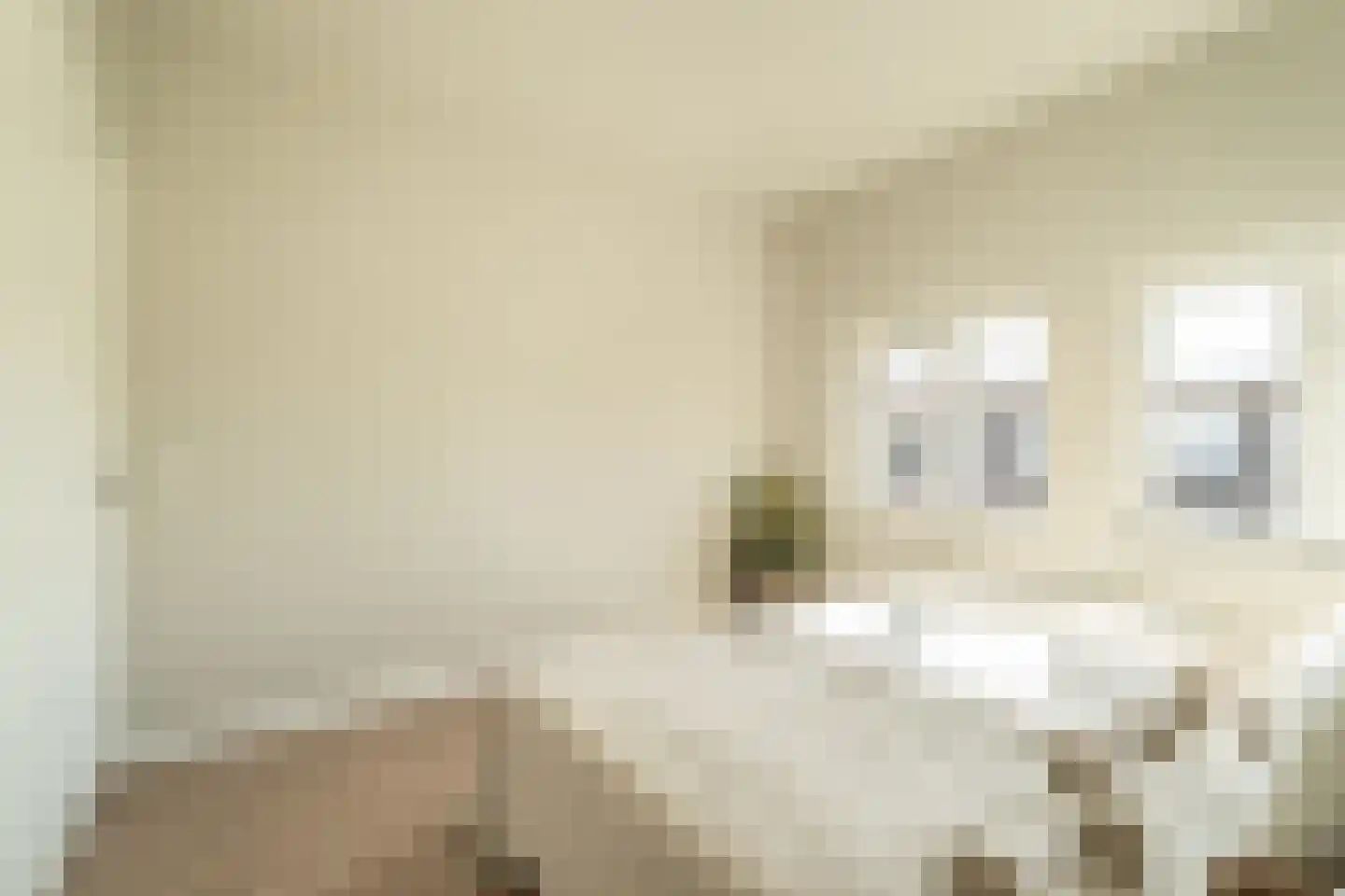 van Naeltwijckstraat 7 Voorburg thumbnail 19