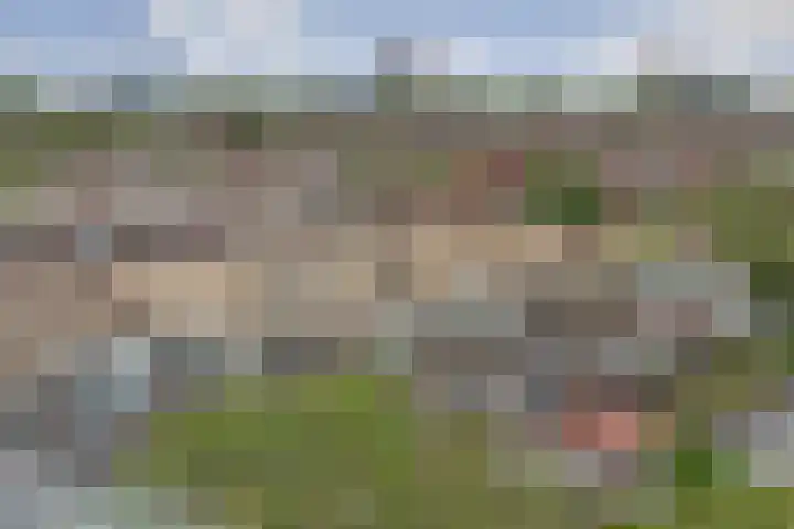 van Naeltwijckstraat 7 Voorburg thumbnail 24