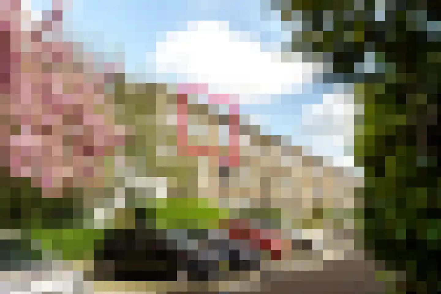 van Naeltwijckstraat 7 Voorburg thumbnail 24